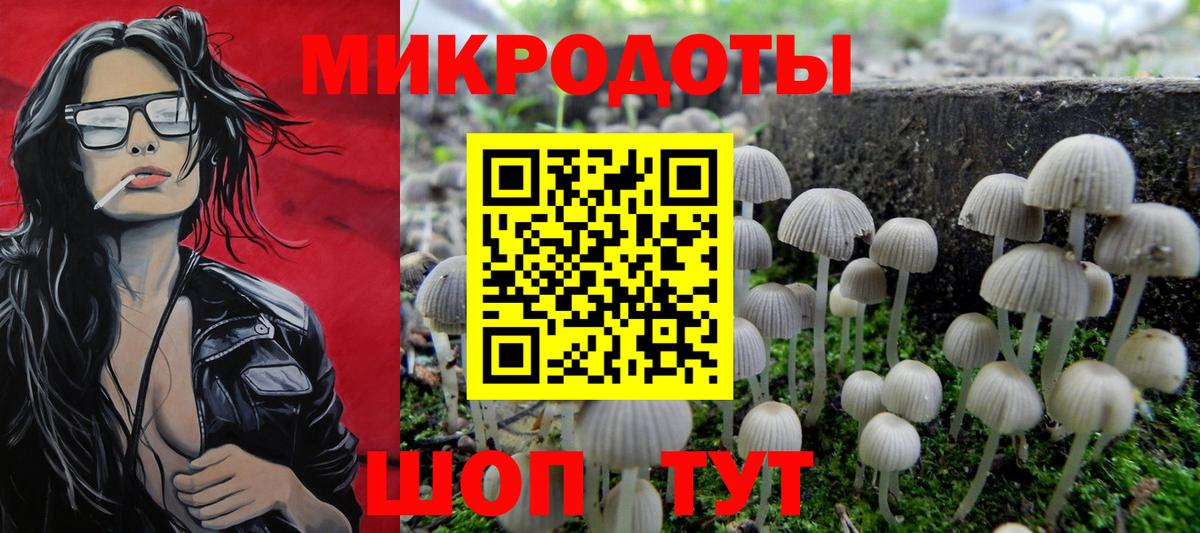 Псилоцибиновые грибы мицелий  купить наркоту  Вход с VPN  Гатчина  Псилоцибиновые грибы GOLDEN TEACHER 