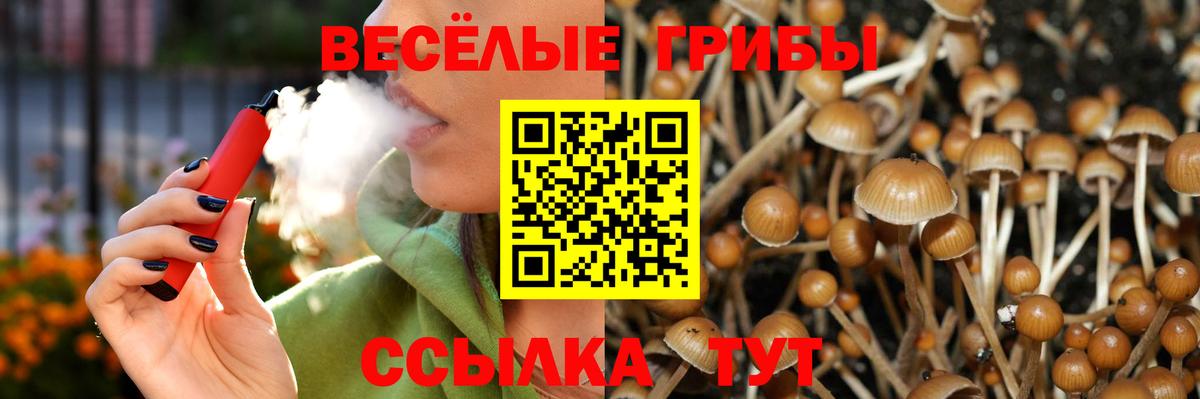 Галлюциногенные грибы GOLDEN TEACHER Гатчина